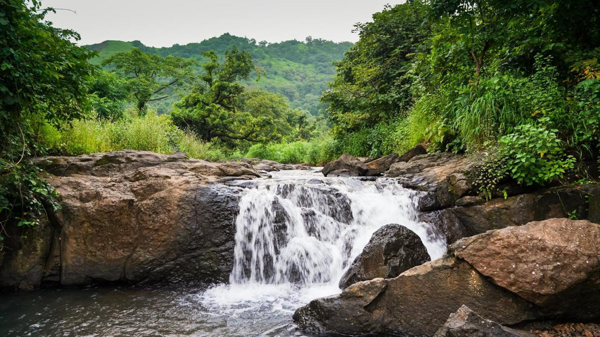 Whispering Peepul Resort Badlapur Buitenkant foto