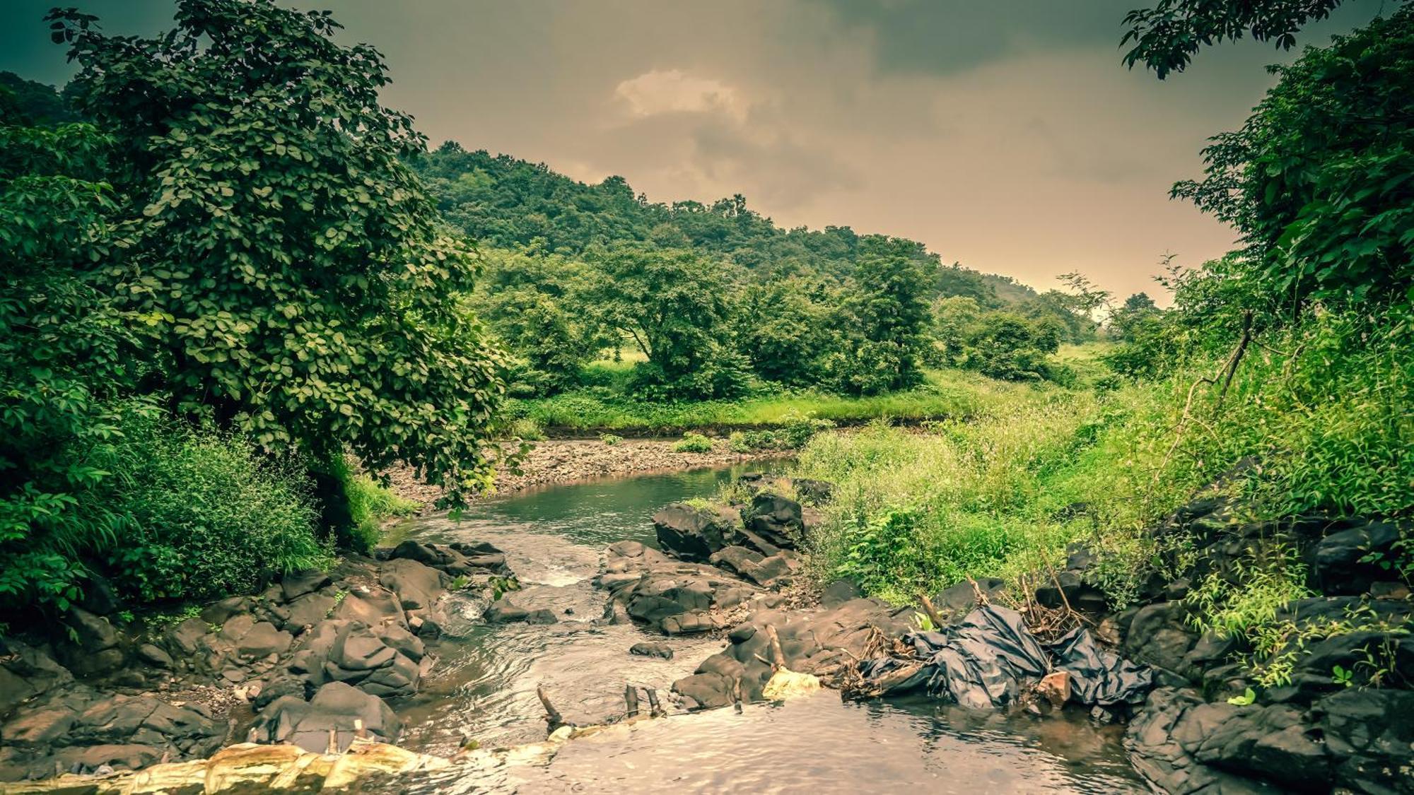 Whispering Peepul Resort Badlapur Buitenkant foto