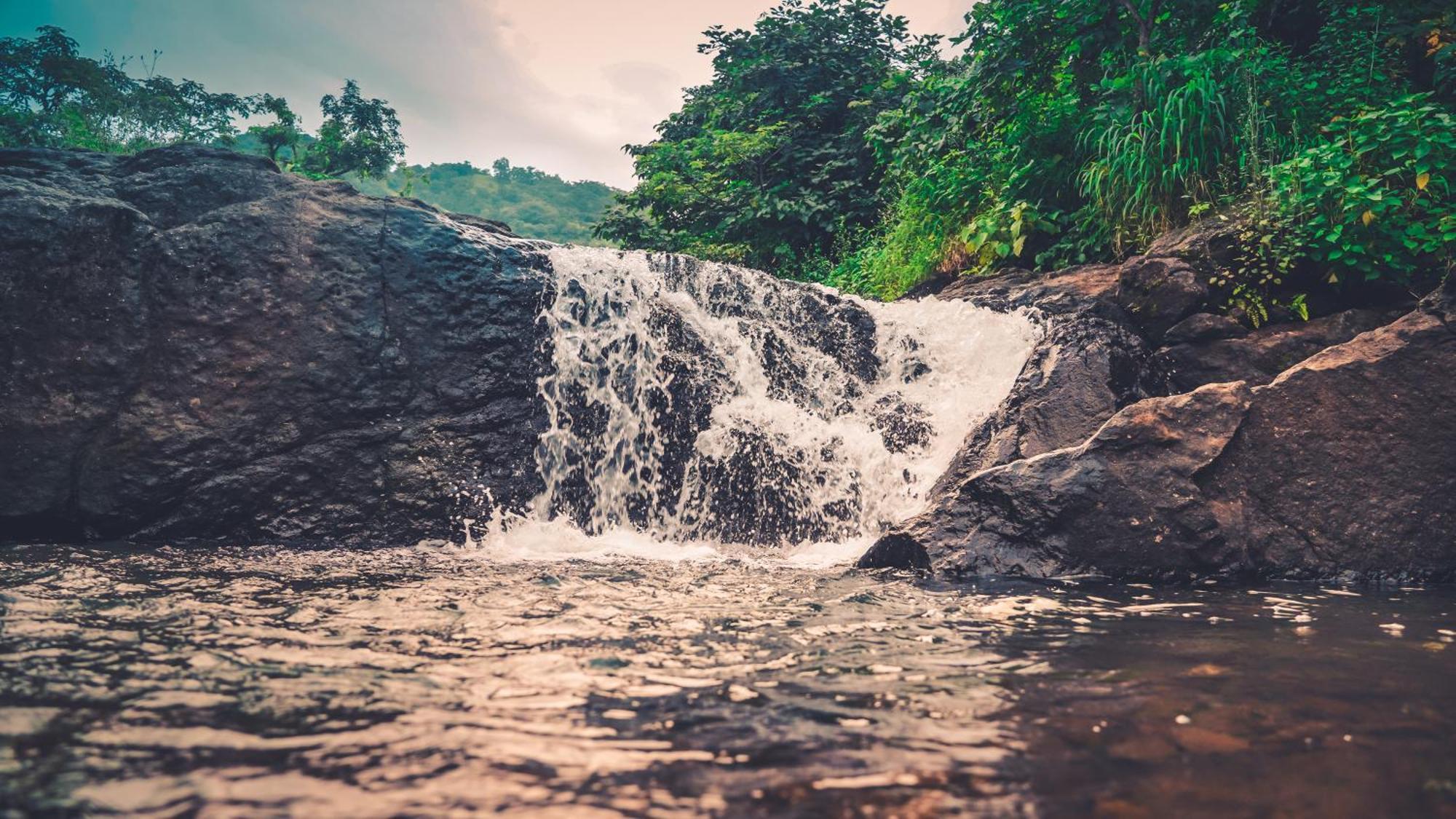 Whispering Peepul Resort Badlapur Buitenkant foto