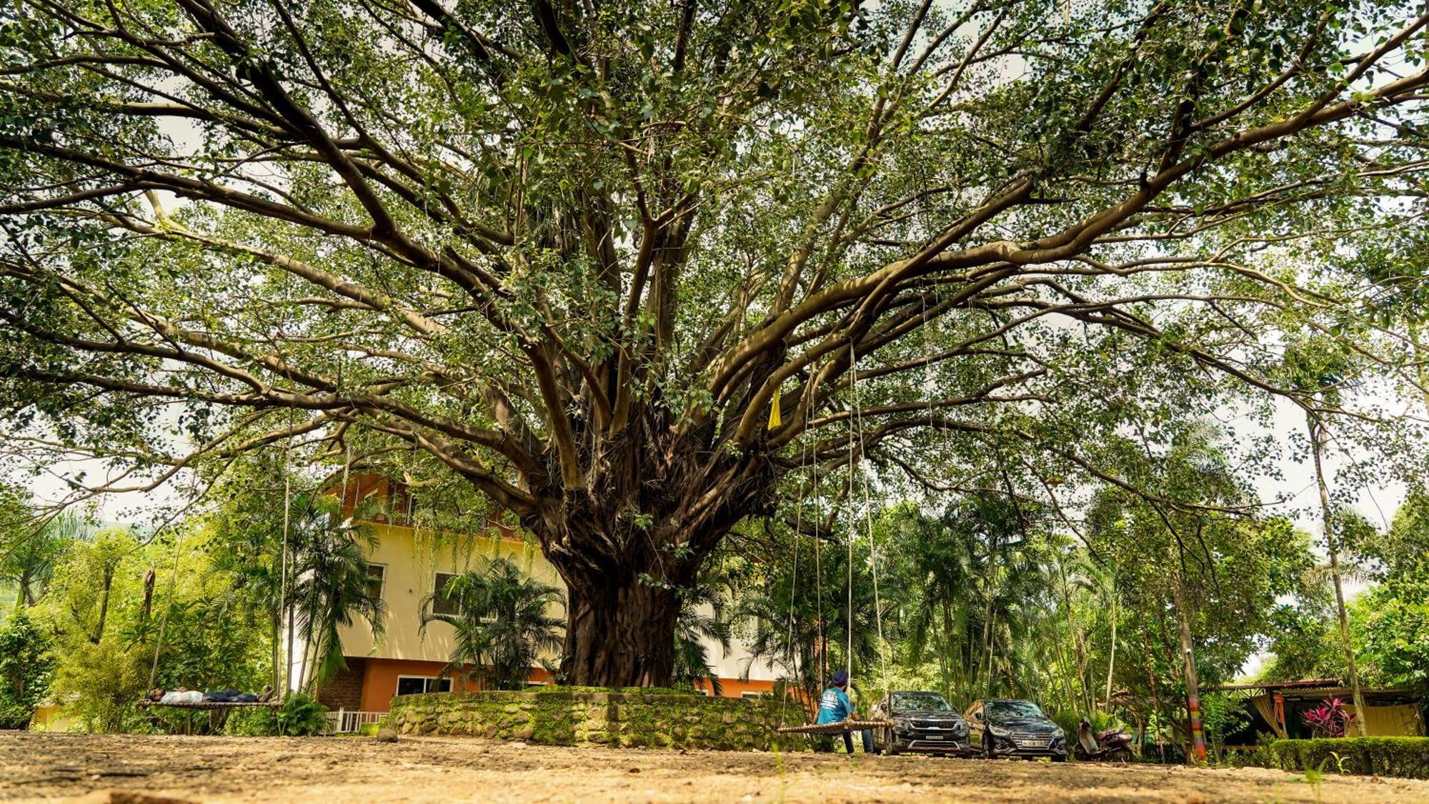 Whispering Peepul Resort Badlapur Buitenkant foto