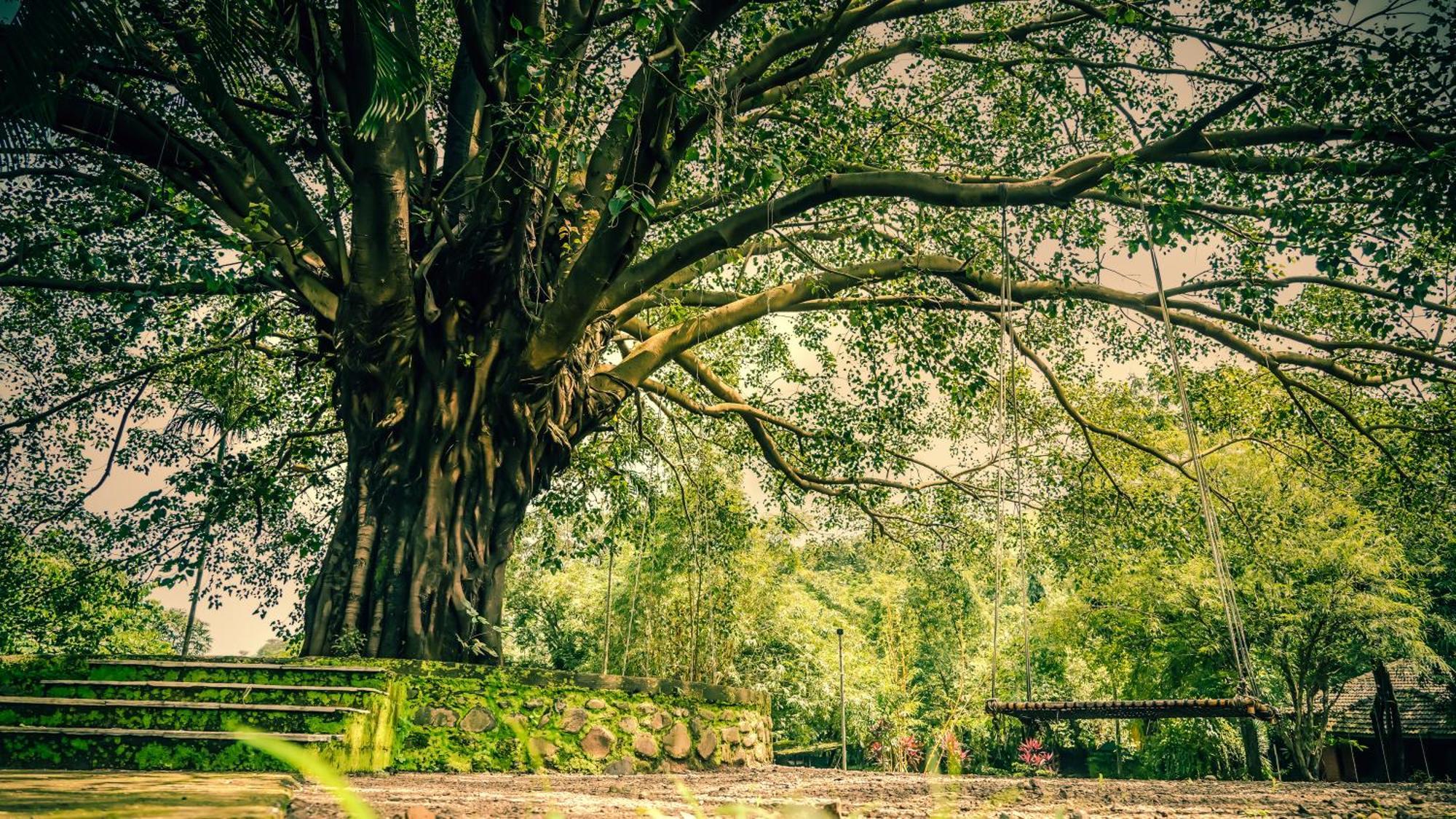 Whispering Peepul Resort Badlapur Buitenkant foto