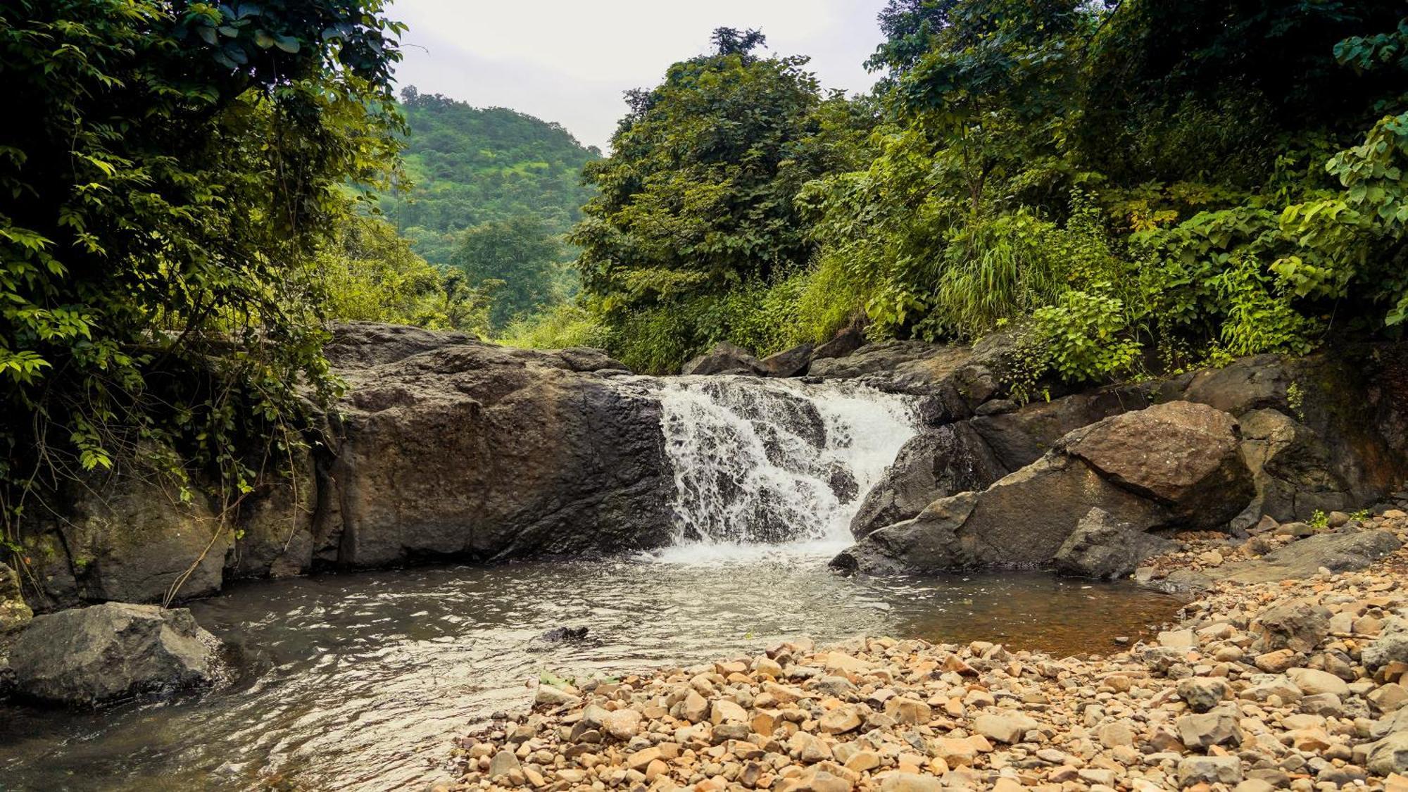 Whispering Peepul Resort Badlapur Buitenkant foto