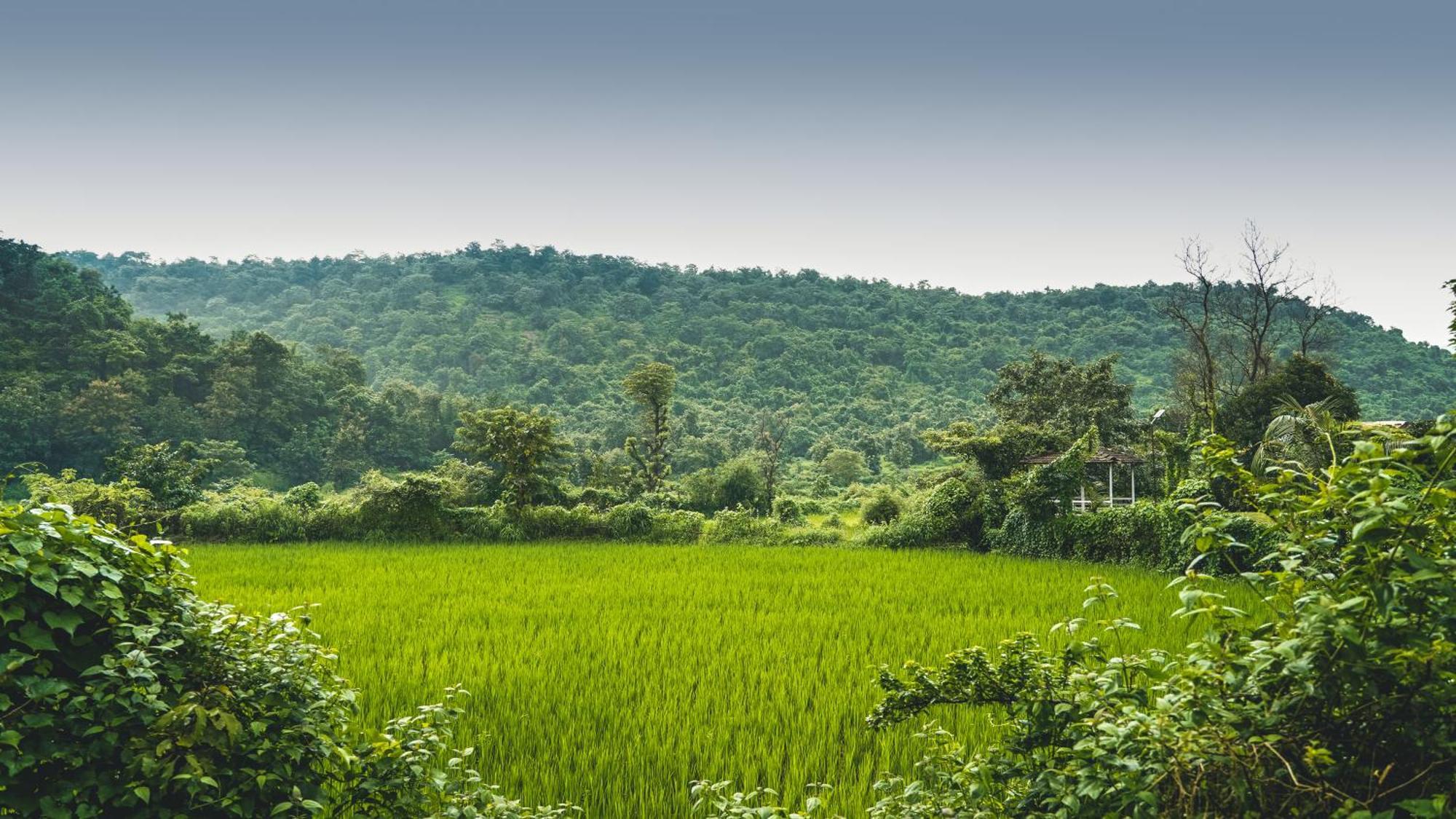 Whispering Peepul Resort Badlapur Buitenkant foto